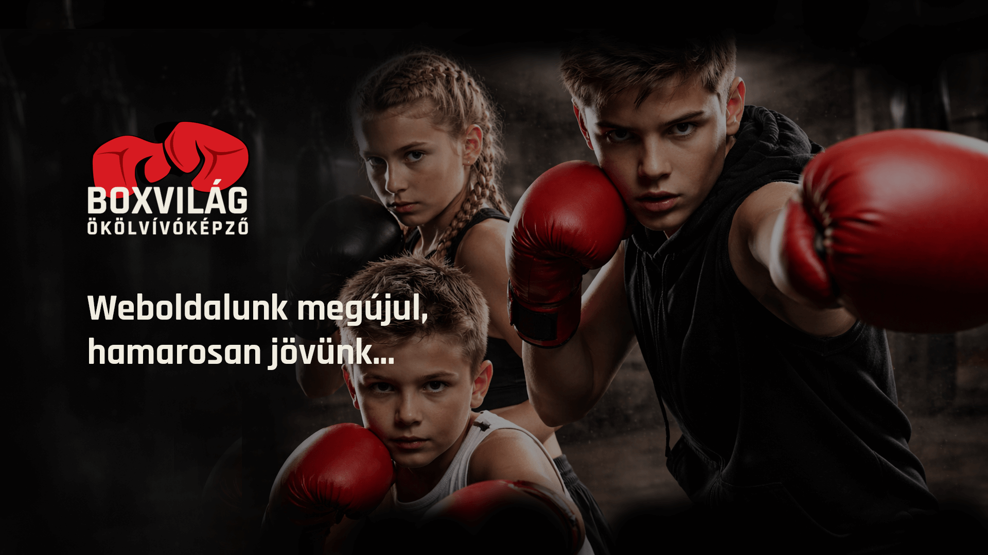 Boxvilág Ökölvívóképző – Weboldalunk megújul